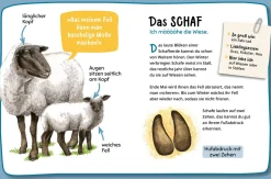 Mein erster Naturführer, Welche Tierspur ist das?