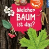 Mein erster Naturführer, Welcher Baum ist das?