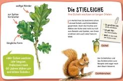 Mein erster Naturführer, Welcher Baum ist das?
