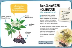 Mein erster Naturführer, Welcher Baum ist das?
