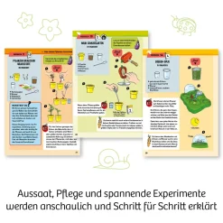 Mein erstes Gewächshaus