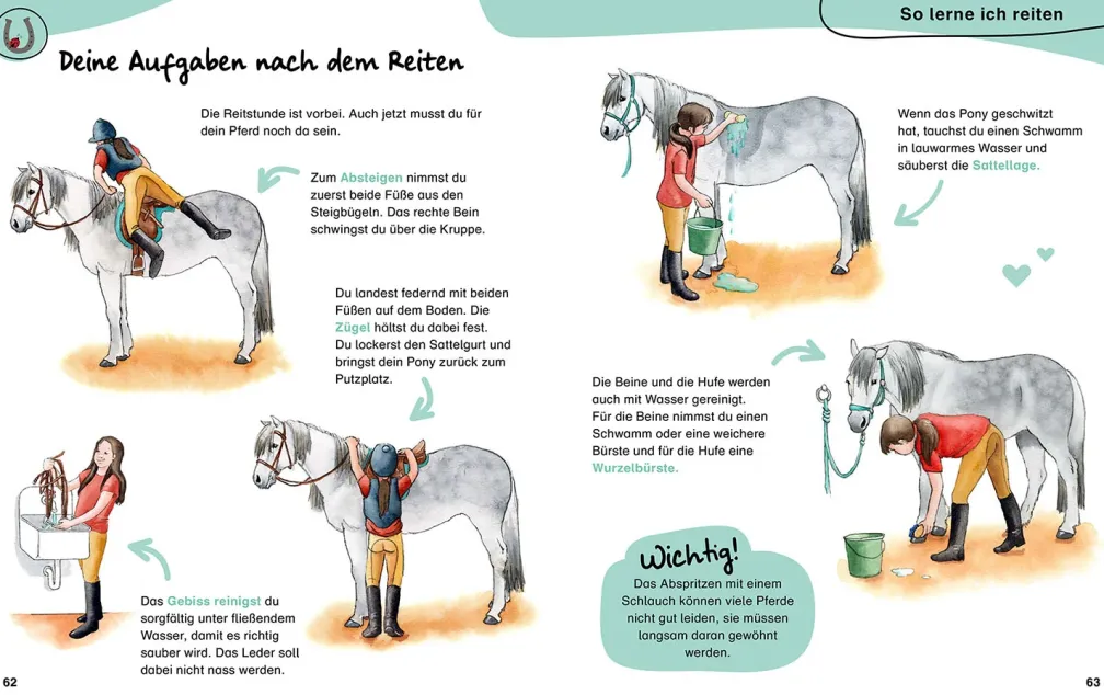 Mein erstes Pferdebuch