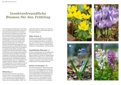 Mein Insektenparadies