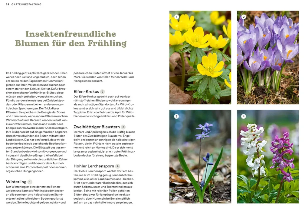 Mein Insektenparadies