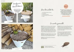 Mein Insektenparadies