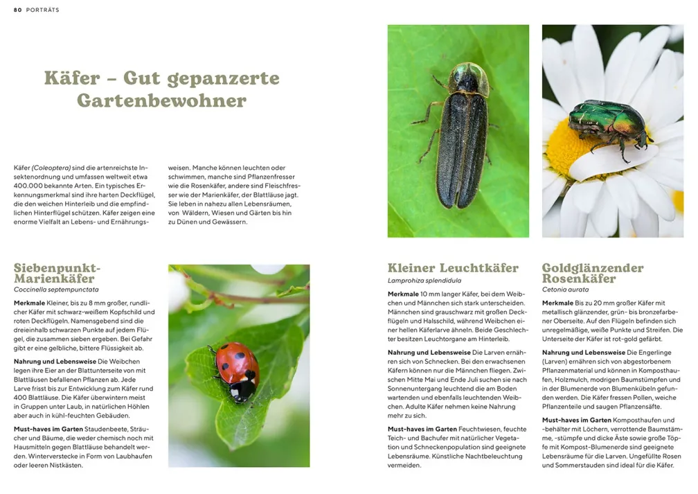 Mein Insektenparadies