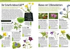 Mein Kosmos-Buch Natur