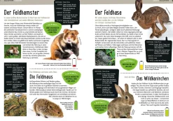 Mein Kosmos-Buch Natur
