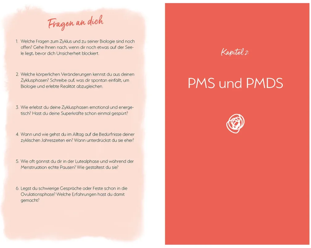 Mein PMS und ich