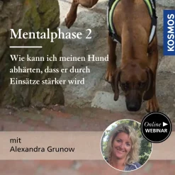 Mentalphase Teil 2: Wie kann ich meinen Hund abhärten, dass er durch Einsätze stärker wird