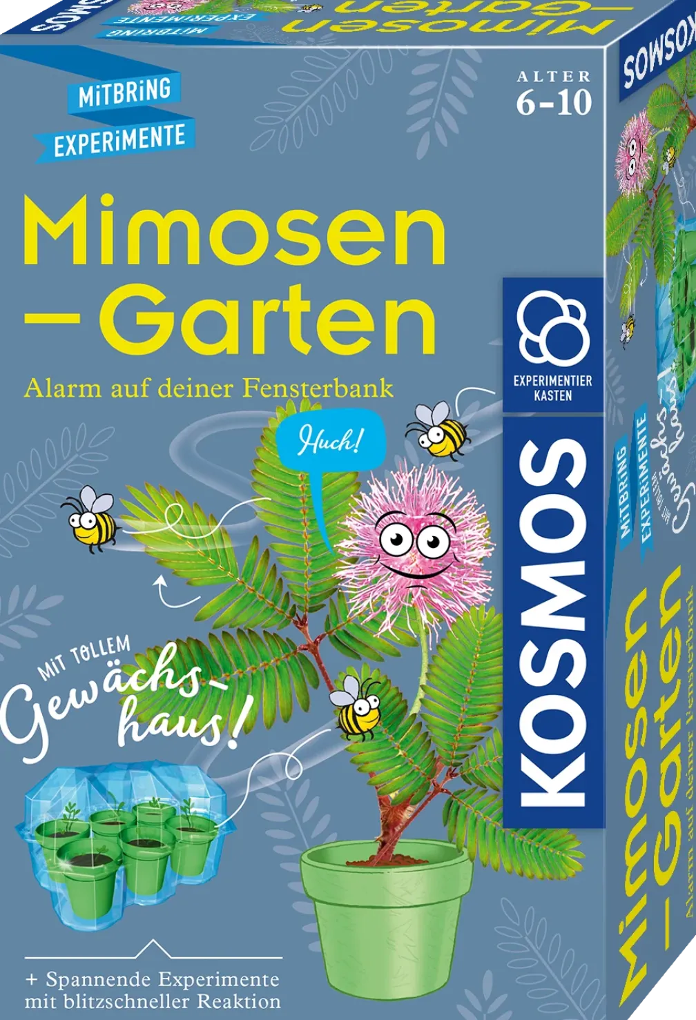 Mimosen-Garten