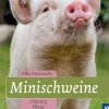 Minischweine