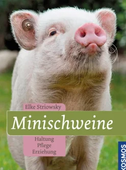 Minischweine