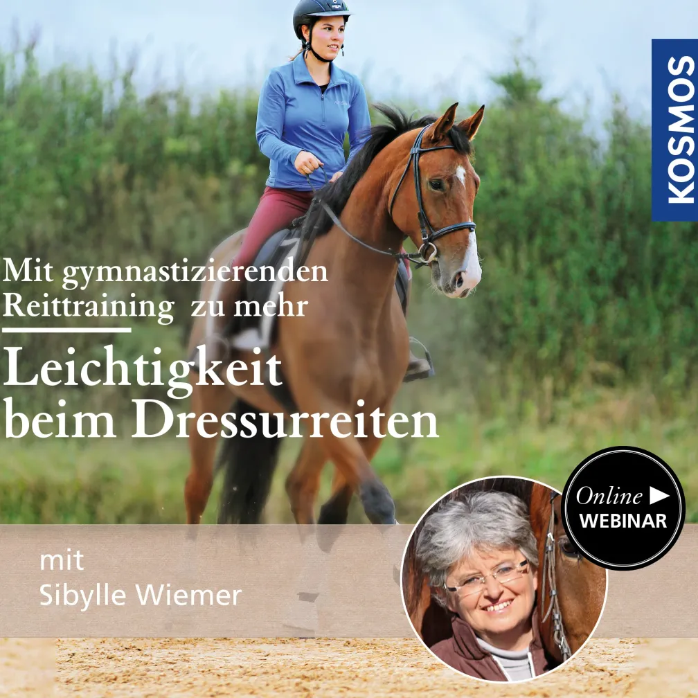 Mit gymnastizierenden Reittraining zu mehr Leichtigkeit beim Dressurreiten