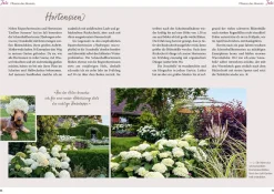 Mit Herz & Gabel durch Katrins Gartenjahr 2025