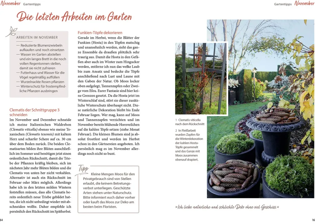 Mit Herz & Gabel durch Katrins Gartenjahr 2025