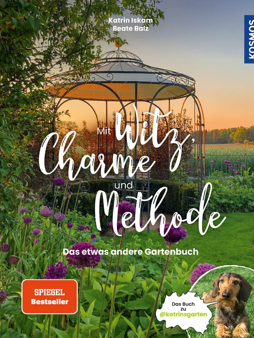 Mit Witz, Charme und Methode