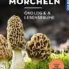 Morcheln