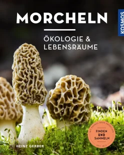 Morcheln