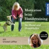 Motivation beim Hundetraining – für Hund und Hundehalter
