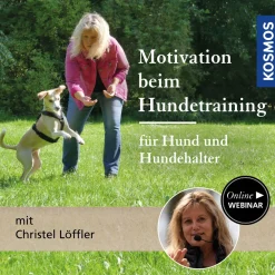 Motivation beim Hundetraining – für Hund und Hundehalter