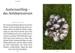 Mushroom Fever