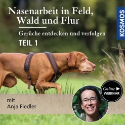 Nasenarbeit in Feld, Wald und Flur: Gerüche entdecken und verfolgen