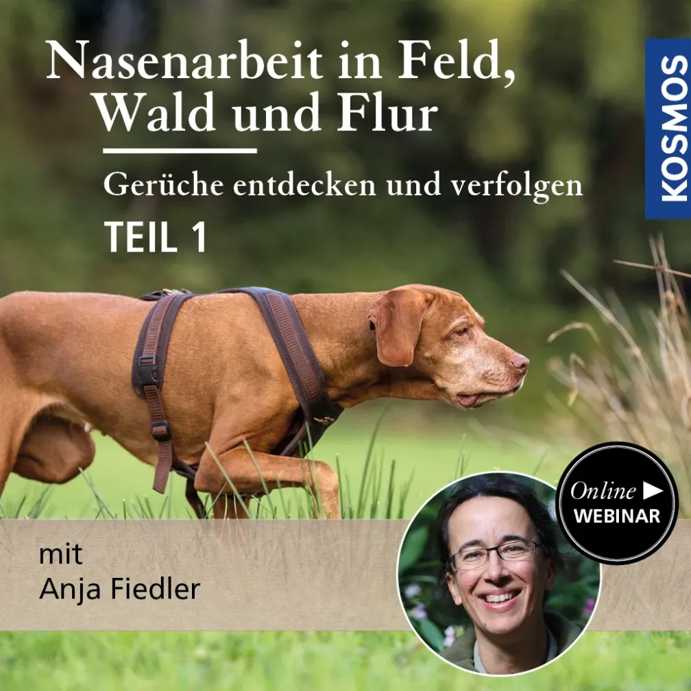 Nasenarbeit in Feld, Wald und Flur: Gerüche entdecken und verfolgen