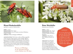 Nature Guide Insekten