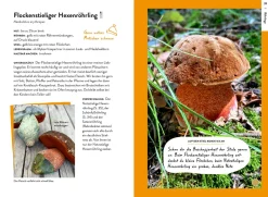 Nature Guide Pilze