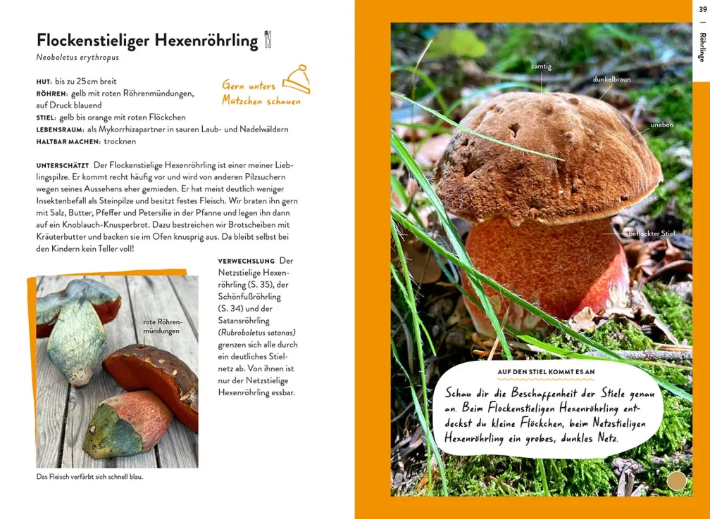 Nature Guide Pilze