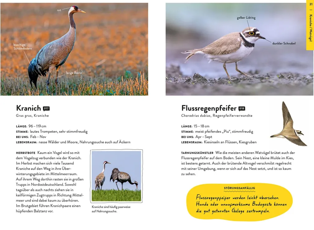 Nature Guide Vögel