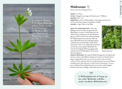 Nature Guide Wildpflanzen