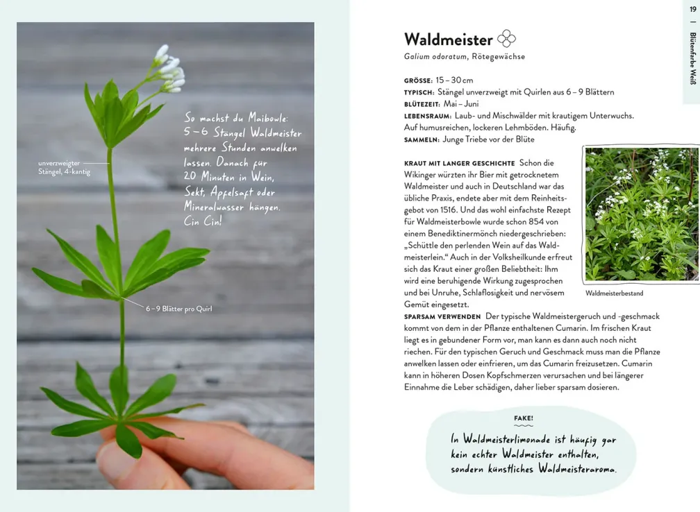 Nature Guide Wildpflanzen