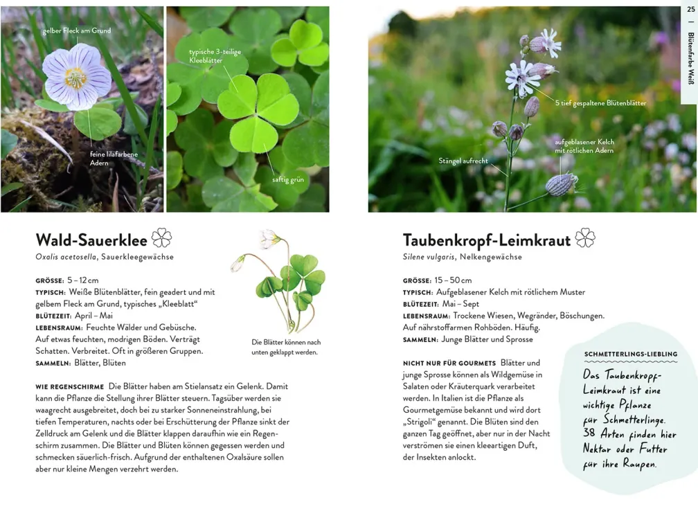 Nature Guide Wildpflanzen