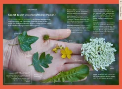 Nature Guide Wildpflanzen