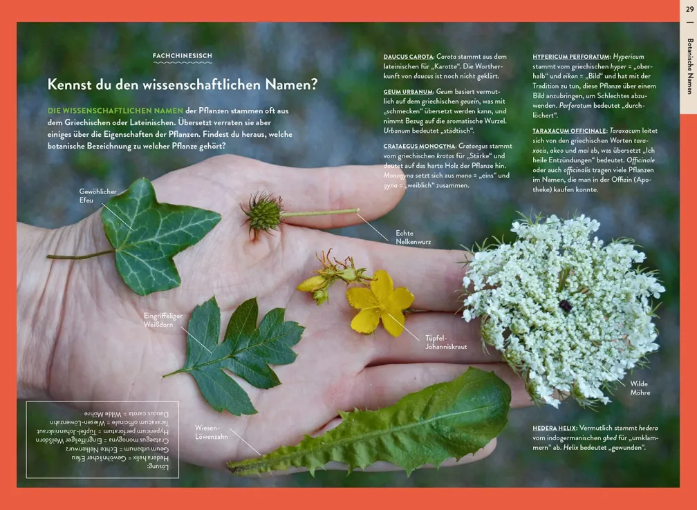 Nature Guide Wildpflanzen