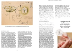 Nature Journaling