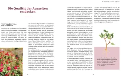 Naturrituale im Rhythmus des Jahres