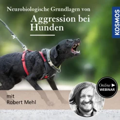 Neurobiologische Grundlagen von Aggression bei Hunden