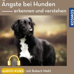 Ängste bei Hunden – erkennen und verstehen