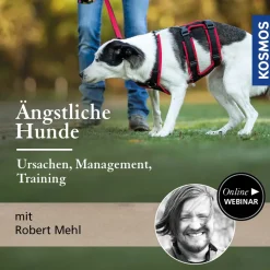Ängstliche Hunde – Ursachen, Management, Training