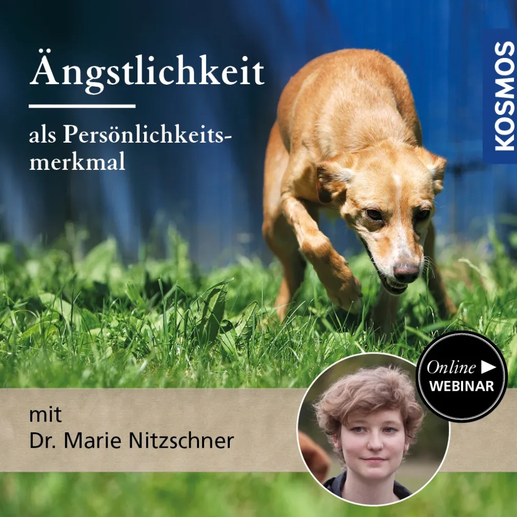 Ängstlichkeit als Persönlichkeitsmerkmal
