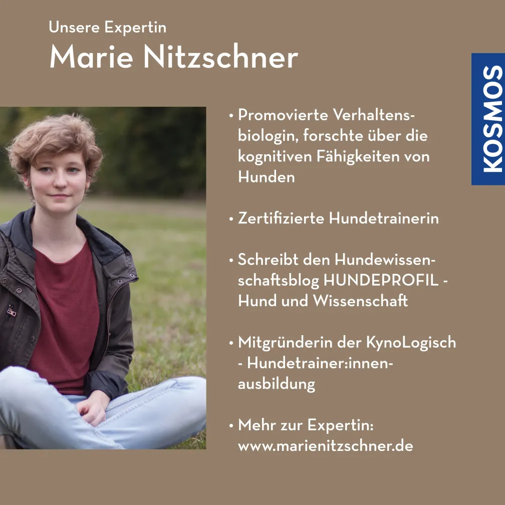 Ängstlichkeit als Persönlichkeitsmerkmal