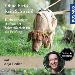 Ohne Fleiß, kein Schweiß! – Kleinschrittiger Aufbau der Schweißarbeit für die Prüfung