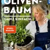 Olivenbaum ganz einfach