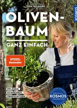 Olivenbaum ganz einfach