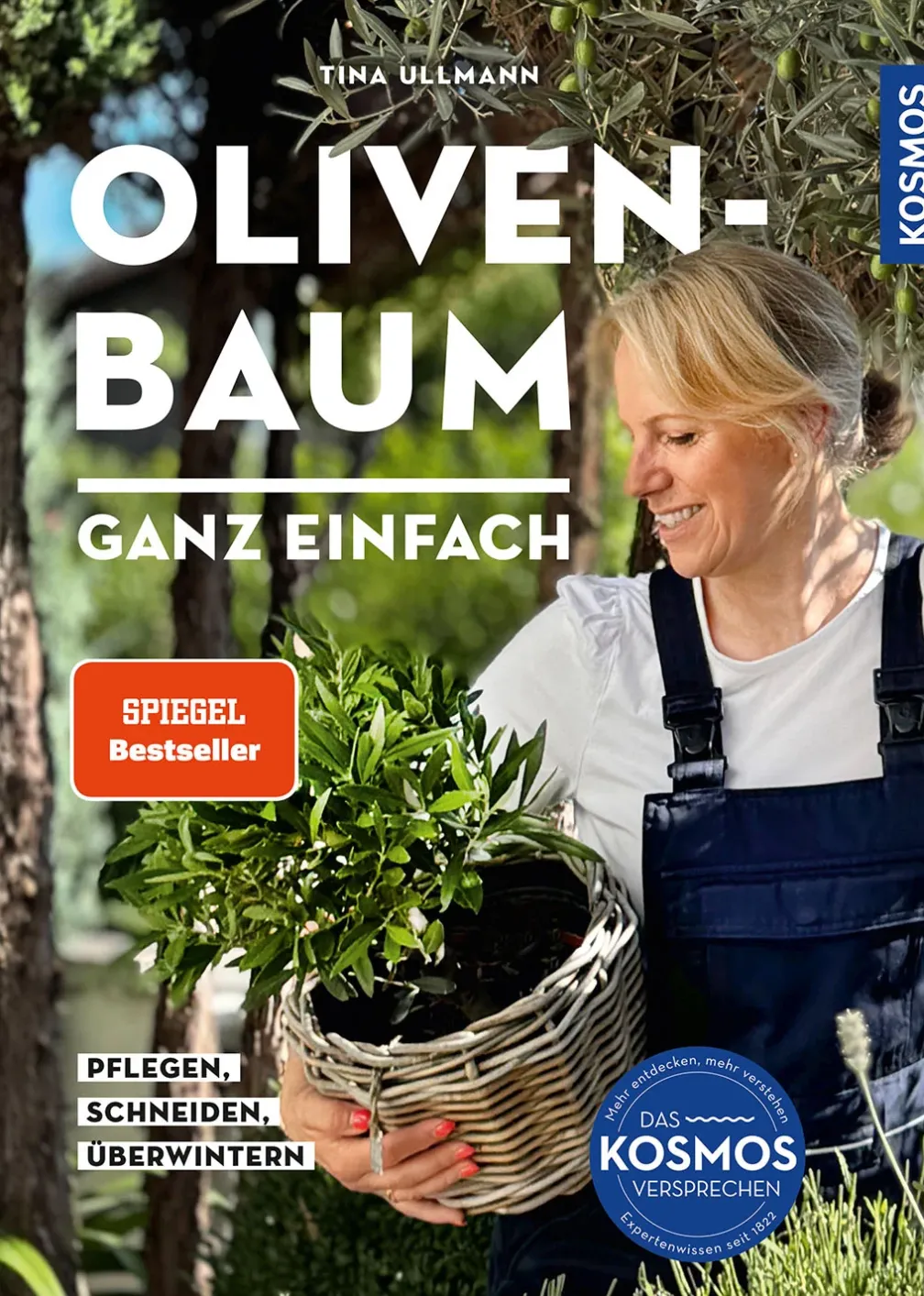 Olivenbaum ganz einfach