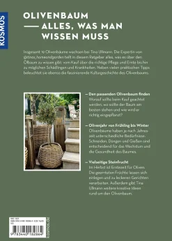 Olivenbaum ganz einfach