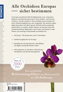 Orchideen Europas